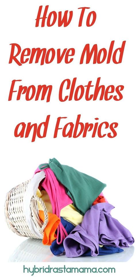 Is it possible to remove mold from clothes and fabrics? This post outlines three ways to launder moldy clothing and the degrees of success each method is likely to have.  From HybridRastaMama.com #toxicmold #laundry #naturalcleaning  via @hybridrastamama Remove Mold From Clothes, Remove Mould From Fabric, Diy Bathroom Cleaner, How To Remove Mold, Remove Mold, Mold Exposure, Toxic Mold, Mold Removal, Bathroom Cleaning Hacks