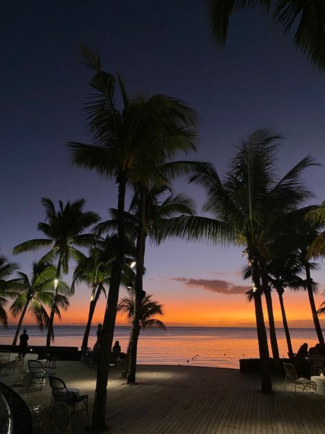 Palm Trees On Beach, Beach Silouhette Aesthetic, Mauritius Sunset, Sunset Beach Palm Trees, Beach Sunset Palm Trees, Palm Trees Aesthetic, Palm Tree Aesthetic, Palm Trees And Beach, Beach And Palm Trees