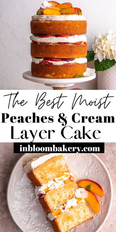 This is a moist and tender vanilla cake filled with fresh peaches and vanilla bean whipped cream topped with fresh peach syrup. Vanilla Peach Cake Recipe, Pie, Peach Cream Cake Recipe, Peach Chantilly Cake, Peach Cake With Fresh Peaches, Peaches And Cream Layer Cake, Peaches And Cream Cake Filling, Peach Pie Cake, Peach Flavored Cake