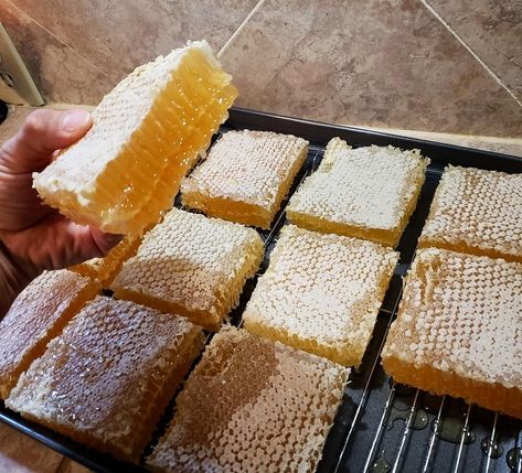 Essen, Honeycomb Aesthetic, Honey Harvest, Honey Aesthetic, Comb Honey, Honey Combs, Quick Vegetarian Recipes, Honey Packaging, Quick Vegetarian Meals