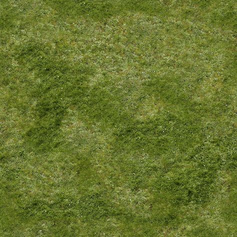 grass Grass Texture Architecture, Grass Photoshop Texture, Grass Texture Photoshop Architecture, Grass Texture Seamless, Grass Photoshop, Grass Seamless, Grass Material, 숲 사진, Grass Texture