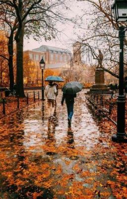 Poem #poetry #Poetry #amreading #books #wattpad Desen Realist, Favourite Season, Autumn Rain, Washington Square Park, Walking In The Rain, Fall Feels, Autumn Beauty, Fall Pictures, Autumn Cozy