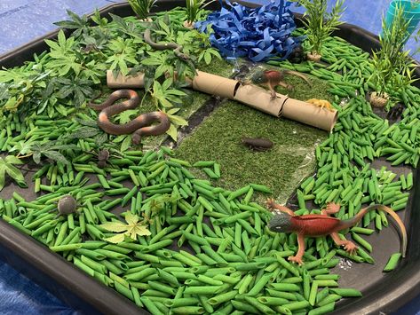 Montessori, Rainforest Eyfs Activities, Jungle Theme Tuff Tray, Rainforest Activities Eyfs, Messy Play Birthday Party, Jungle Messy Play Ideas, Safari Messy Play, Animal Messy Play, Eyfs Jungle Activities