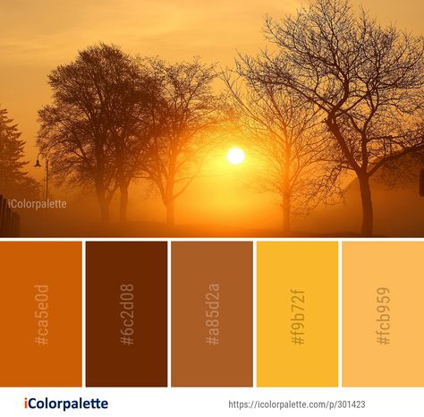 Color Palette ideas from 1478 Sunrise Images | iColorpalette Apollo Color Palette, Golden Sunset Color Palette, Sunrise Pallet Colour Palettes, Sunlight Color Palette, Sunrise Color Pallete, Color Palette Sunrise, Sun Colour Palette, Golden Hour Color Palette, Dawn Color Palette