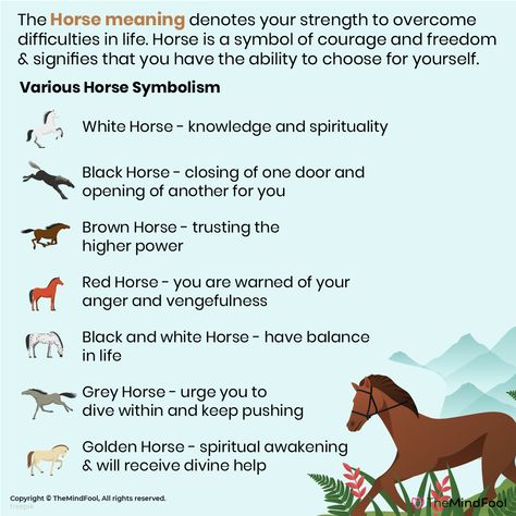 Horse symbolism is a fascinating topic. Throughout the world, horses are usually considered with dignity among other animals. The Horse spirit animal guides us at moments of need. It’s the energy that guides us to take our life path with courage and enthusiasm. . . #spirituality #HorseSymbolism #spiritual #meditation #spiritualawakening #inspiration #awakening #mindfulness #peace #consciousness #yoga #selflove #healing #life #wisdom #lawofattraction #universe #enlightenment Horse Symbolism Meaning, Animal Guides Spiritual, Horse Totem Spirit Animal, Horse Spirit Animal Meaning, Horse Spiritual Meaning, Horse Symbolism, Spirit Animal Tattoo, Horse Spirit Animal, Horse Symbol