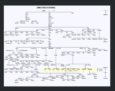 Family tree from beginning to Moses | Bible family tree, Scripture study, Bible timeline Bible Family Tree, Bible Genealogy, Bible Timeline, Genealogy Chart, Family Tree Chart, Bible Study Help, Bible Study Notebook, Family Worship, Bible History