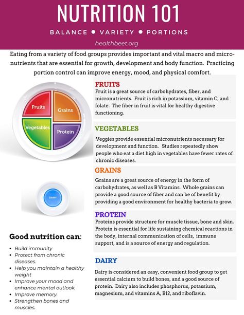 Grab this pdf printable with everything you need to know about nutrition basics, food groups, healthy eating and myplate. #myplate #nutrition #choosemyplate Nutrition Basics Healthy, Healthy Eating Portions, Nutrition Guide Healthy Eating, Healthy Eating Basics, Nutrition Group Activities For Adults, Daily Nutrition Guide Charts, Proper Nutrition Healthy Eating, Healthy Food Groups, What Is Nutrition