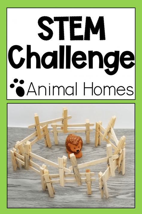 Animal STEM for Kids in Kindergarten and Primary - Building Challenges For Kids, Twos Activities, Challenges For Kids, Farm Week, Stem Activities Kindergarten, Stem Bins, Stem Building, Elementary Stem, Farm Animals Activities