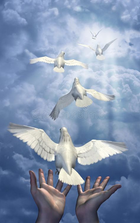 Dove Pictures, Jesus Drawings, Christ In Me, Meme Maker, Peace Illustration, Painting Competition, Academic Art, Saint Esprit, Photoshop Effects