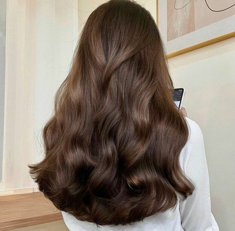 Cocoa Highlights On Brown Hair, Bellami Flex Weft, Deep Brown Copper Hair, Long Thick Hair Aesthetic, Smooth Wavy Hair, Medium Brown Hair Aesthetic, Brown Biolage Hair, Rich Brown Hair Color For Pale Skin, Almond Brown Hair