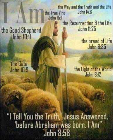 I am the Good Shepherd.... http://opalmassey.wordpress.com/2013/04/05/i-am-the-good-shepherd/ True Vine, The Great I Am, Jesus Said, A Course In Miracles, Saint Esprit, The Good Shepherd, Faith Inspiration, Favorite Bible Verses, God Jesus