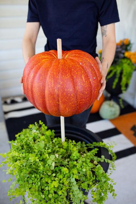 Fall Decor Ideas For The Home Front Door, Stacked Pumpkins In Planter, Fall Porch Flower Pot Ideas, Pumpkins In Planters Front Porches, Fall Outdoor Pots Ideas, Fall Planters Front Porches Diy, Fall Front Porch Planter Ideas, Pumpkins In Planters, Diy Fall Planters Outdoor