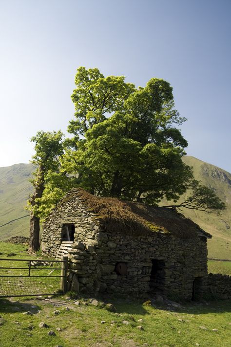 Farm Scenes, Stone Building, Dream Gardens, Barn Pictures, Tree Growing, Abandoned Things, Country Barns, Simpler Times, Barn Art