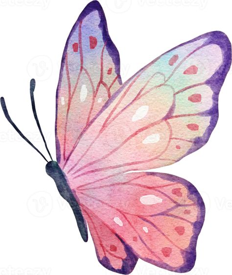 Butterfly Drawing Illustration, Cute Drawings Of Butterflies, Simple Butterfly Watercolor, Butterfly In Flower Drawing, Butterfly Drawing Aesthetic Colorful, Drawing Ideas Butterflies, Buterfluffy Illustration, Butterfly In Watercolor, Different Butterfly Drawing