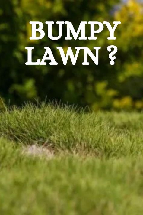 Here is a simple guide for leveling a bumpy lawn without the use of heavy equipment. Also, learn how to fix a lawn with only a few individual low spots. How To Level Yard Diy, Level Lawn Diy, Diy Lawn Leveling Tool, Yard Leveling Diy, How To Level Yard, Lime For Lawns, Leveling Yard, Landscape Shapes, Lawn Renovation