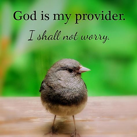 God is my provider I shall not worry... God Is My Provider, Making Decisions, God Will Provide, Jesus Christus, Inspirational Prayers, Faith Inspiration, Christian Quotes Inspirational, Spiritual Inspiration, Dear God