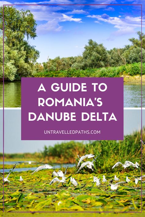 Danube Delta Romania, Danube Delta, Visit Romania, Romania Travel, Hungary Travel, Wildlife Reserve, Outdoor Activity, Hidden Gem, Scenic Landscape