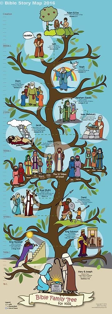 Jesus Family Tree, Bible Family Tree, Family Tree For Kids, Family Tree Craft, Bible Timeline, Family Tree Poster, Trees For Kids, Family Bible Study, Tree Quotes