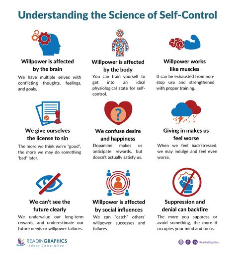 Do you ever find yourself struggling with self-control and willpower? You're not alone!  🧠 Discover how self-control works in the brain and why it's essential in our daily lives. 🌟 Uncover the science-backed strategies to strengthen your willpower and make better decisions. #TheWillpowerInstinct #SelfControlMatters#PersonalGrowth Mastering Self Control, Self Control Books, In My Control Out Of My Control Activity, How To Control Your Mind, How To Have Self Control, Self Control Worksheet, Self Control Tips, Learn Self Control, Self Control Quotes