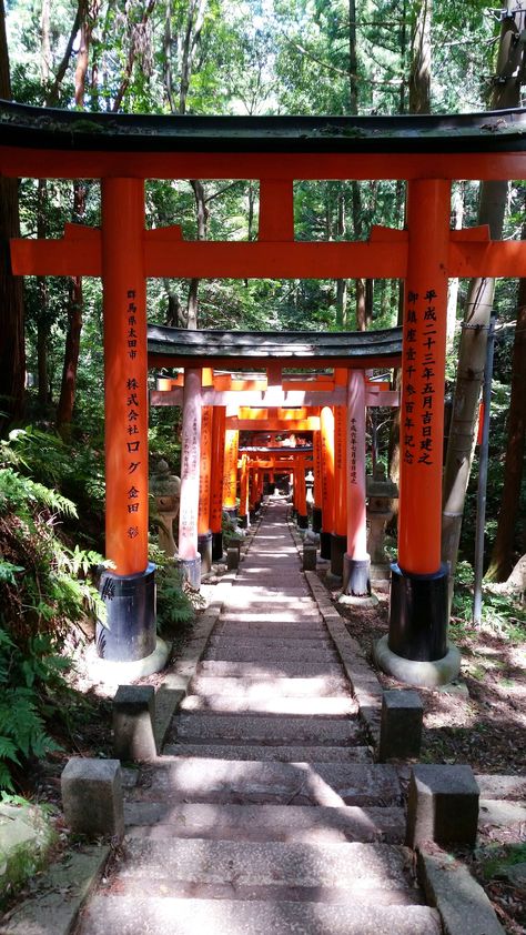 Japan Destinations Beautiful Places, Pune Travel Places To Visit, Asia Core Aesthetic, Edo Japan Aesthetic, Japan Asthetics Photos, Japan Asethic, Asia Core, Kagawa Japan, Japanese Places