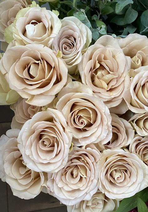 Astral Rose Variety - Beige Tan Rose White And Beige Rose Bouquet, Neutral Colored Flowers, Beige Flower Arrangements, Taupe Roses, Neutral Roses, Vip Roses, Tan Roses, Seafoam Wedding, Brown Roses