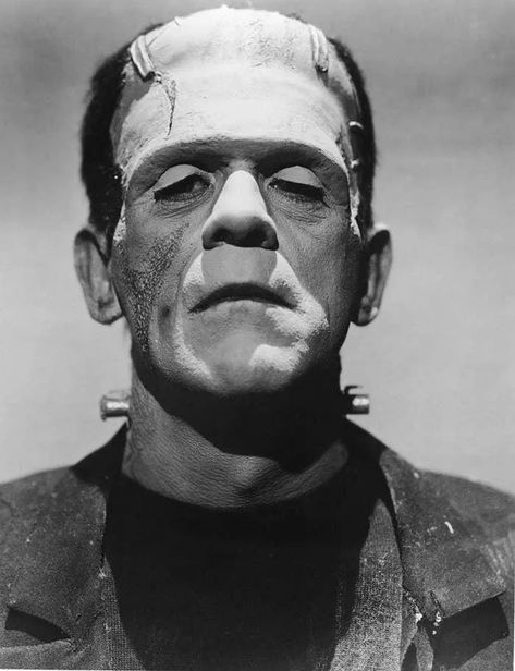 Boris Karloff Wasn't Invited To The Premiere Of "Frankenstein," And 21 Other Fascinating Facts About This Iconic Horror Film The Modern Prometheus, Boris Karloff, Lord Byron, Horror Lovers, Frankenstein's Monster, Mary Shelley, Horror Icons, Classic Monsters, Halloween Monster