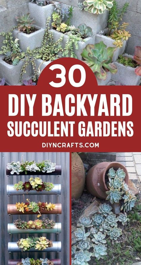 You'll love this list of 30 backyard succulent gardens! Tons of designs for adding beauty and life to your yard with little effort! A gardener's dream! Check out all of the unique vertical succulent gardens, designs for garden spaces, and amazing succulent planters. #Succulents #SucculentPlanter #SucculentGarden #BackyardGarden #Gardening #Cactus Container Succulents Ideas, Vertical Succulent Planter, Succulent Planting Ideas, Rustic Garden Decor Ideas Backyards, Hanging Succulents Outdoor, Succulent Waterfall, Unique Succulent Planter Ideas, Cactus Garden Outdoor, Suculentas Ideas