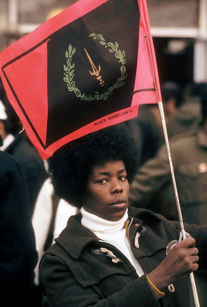 Black American Heritage Flag, American Flag History, Black Panthers Movement, Black American Culture, African American Flag, Fred Hampton, Black American Flag, I Love Being Black, Black Panther Party