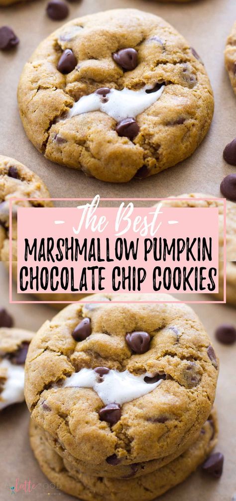 Pumpkin Marshmellow Recipes, Pie, Marshmallow Pumpkin Cookies, Pumpkin And Marshmallow Recipes, Pumpkin Marshmallow Dessert, Pumpkin Marshmallow Recipes, Pumpkin S’mores Cookies, Pumpkin Marshmallow Cookies, Fall Chocolate Chip Cookies