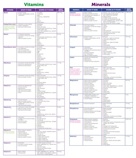 Printable Vitamin And Mineral Interaction Chart Vitamin Chart Nutrition, Vitamin Intake Chart, Vitamins Minerals Chart, Vitamin Chart For Women, List Of Vitamins And What They Do, Healthy Food Vitamin Chart, Food Minerals Chart, Mineral Food Chart, Eat Your Vitamins And Minerals