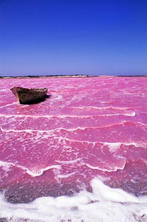 7 Pink #Natural Wonders of the #World ... Lake Retba, Lac Rose, Cap Vert, Pink Lake, Album Foto, Body Of Water, Pink Lady, Natural Phenomena, Pretty Places