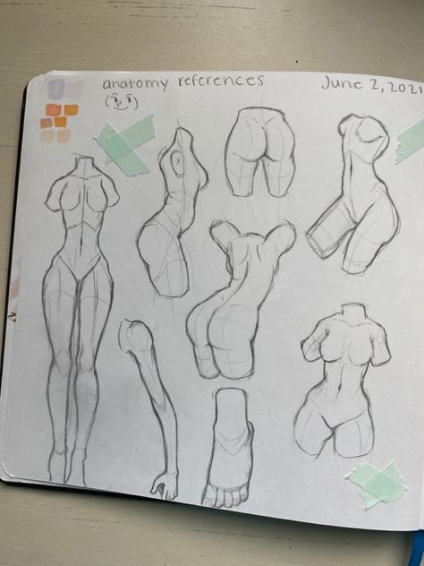 Human Anatomy Drawing Practice, Art Poses Anatomy, Body Anatomy For Drawing, Anatomy Of Men Drawing, Anatomy Art Practice, Backs Drawing Reference, Drawing Inspo Sketch Anatomy, Art Anatomy Practice, Anatomy Sketches For Beginners