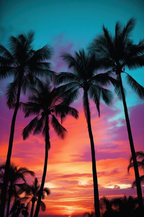 Palm trees silhouette outdoors nature | free image by rawpixel.com Nature, Beach Sunset Images, Palm Trees Silhouette, Warm Wallpaper, Palm Tree Background, Trees Silhouette, Palm Trees Wallpaper, Nice Designs, Summer Aesthetics