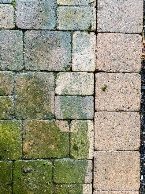 How To Clean Pavers Patio, Cheap Paver Patio Ideas, Cleaning Pavers, How To Clean Stone, Pavers Patio, Cement Pavers, Patio Blocks, Patio Edging, Clean Concrete