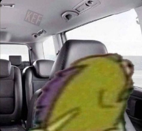 Spongebob Fish, Looking Out Window, Spongebob Pics, Reaction Pic, Reaction Face, Spongebob Memes, Mood Instagram, Mood Humor, Fishing Humor