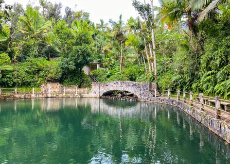 El Yunque National Forest, San Juan, Bioluminescent Bay, Toll Road, Natural Pool, Tropical Rainforest, Green Mountain, The Visitors, National Forest