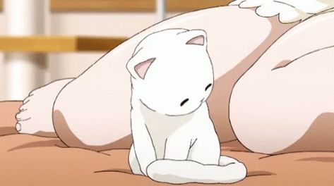 Anime, Kitty Gif, R S, Animated Gif, Gif, Kitty