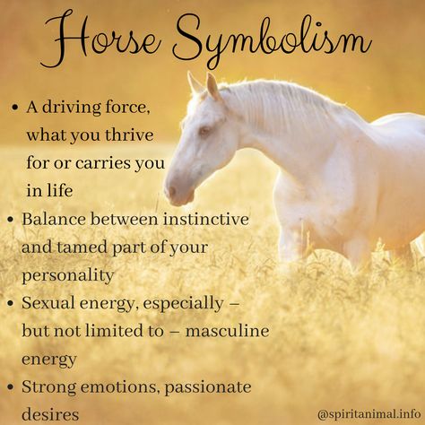 White Horse Spiritual Meaning, Spirit Animal Horse, Horse Spirit Animal Meaning, Horse Meaning, Horse Symbolism, Horse Spirit Animal, Animal Totem Spirit Guides, Horse Spirit, Spirit Animal Meaning