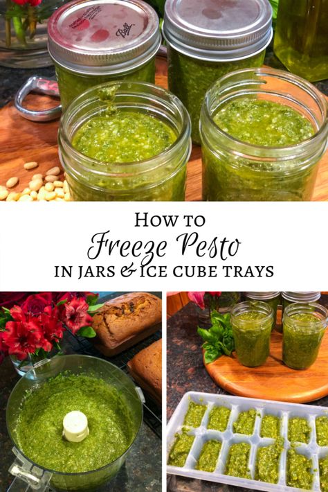 How to Freeze Pesto Frozen Pesto Recipe, Canned Pesto Recipe, Freezer Pesto Recipe, Freeze Pesto, Canning Pesto, Best Pesto Recipe, Ingredient Prep, Best Pesto, Freezing Pesto