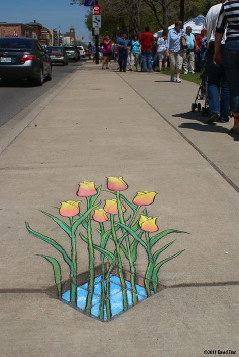 Amazing-Street-art-of-David-Zinn-Sluggo (68) 3d Chalk Art, Chalk Art Quotes, Street Chalk Art, Illusion Kunst, Fun Chalk Art, Pavement Art, David Zinn, Urbane Kunst, Arte Indie