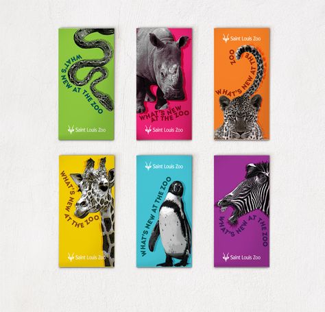 zoo brochure graphic design - Google Search Zoo Poster Design Graphics, Safari Design Poster, Zoo Design Graphics, Zoo Brochure Design, Safari Graphic Design, Zoo Graphic Design, Zoo Flyer, Zoo Advertising, Graphic Design Animals