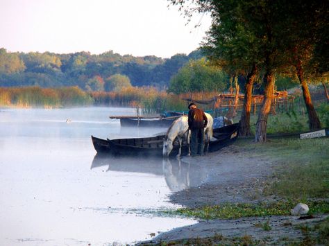 #Danube #Delta #Romania #Chilia #Mila23 #Sulina #Sfântul #Gheorghe #Gura… Nature, Danube Delta, Milan Kundera, Visit Romania, Famous Castles, River Delta, Hd Nature Wallpapers, Danube River, Travel Europe