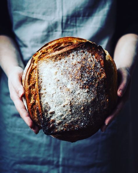 The Splendid Table on Instagram: “So many of you on Insta-land are baking, and baking bread seems to be a hugely popular activity these days. We’d love to see & hear what…” Food Photography Inspiration, Baking Bread, Bakery Bread, Our Daily Bread, Think Food, Pizza Bread, Artisan Bread, Bread Rolls, How To Make Bread