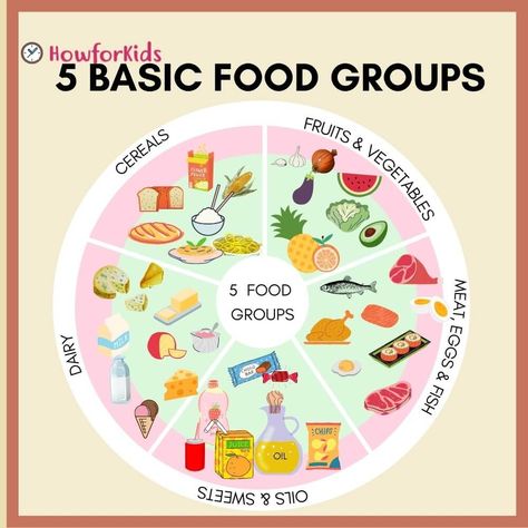 Food and Nutrients: Are They the Same? What are #Nutrients? #FoodGroups Food Nutrients Chart, 5 Food Groups Activities, Food Groups Chart Free Printable, 5 Food Groups For Kids, Food Group Pyramid, Food Groups Chart, Food Groups Preschool, Food Chart For Kids, Food Groups For Kids