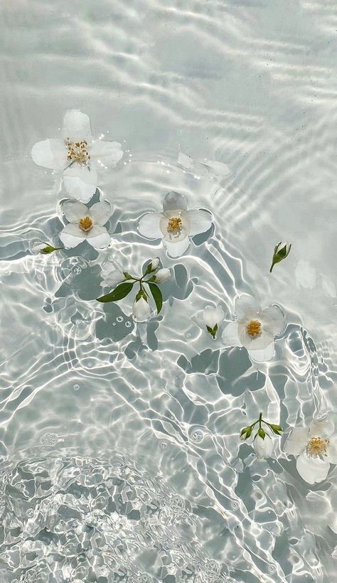 Wallpaper Backgrounds Realistic, Flower In Water Aesthetic, Wigets Pictures Aesthetic, Iphone 15 Wallpaper Aesthetic, Flowers Floating In Water, White And Pink Aesthetic, Cute Flower Wallpaper, Wallpaper Cantik Iphone, Google Wallpaper