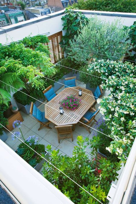 25 Modern Rooftop Design For Your Outdoor Sanctuary | Home Design And Interior Roof Top Terrace Garden, Plants On Roof Top, Enclosed Terrace Ideas, Enclosed Rooftop Terrace, Top Roof Garden Ideas, Plants For Terrace Garden, Terrace Flat Ideas, Roof Top Terrace Designs House, Roof Top Garden Ideas Terrace Design