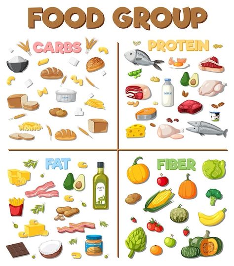 Protein Carbohydrate Fats Chart, Protein Foods Drawing, Food Pictures Cartoon, Food Groups Chart Free Printable, Go Foods Chart, Carbohydrates Food Pictures, Protein Drawing, Healthy Food Drawing, Food Groups Chart