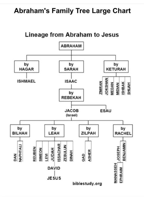 Abraham family tree Biblical Family Tree, Genealogy Of Abraham, Abraham Family Tree Bible, Biblical Order Of The Family, Abraham Family Tree, Biblical Genealogy, Abraham In The Bible, Jesus Family Tree, Bible Family Tree