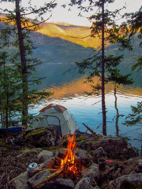 🇨🇦 Campsite (Slocan, BC) by Katie - 凯迪 Lakeside Camping, Supraviețuire Camping, Camping Sauvage, Camping Photo, Camping Inspiration, Camping Aesthetic, Camping Photography, Festival Camping, Image Nature