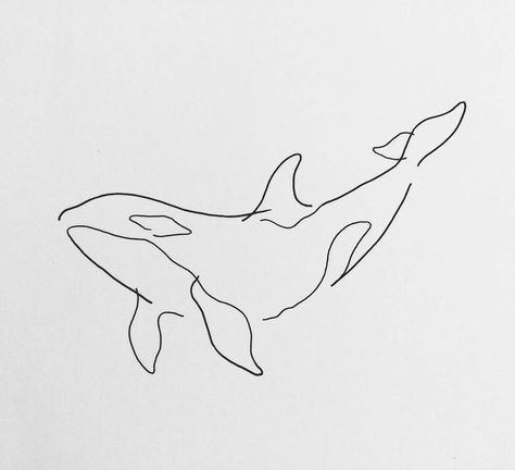 Tattoo Designs, Tattoo Ideas, Line Art, Art Drawings, Tattoo Line Art, Orca Tattoo, Tattoo Line, Whale Tattoos, Line Art Drawings